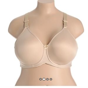 Womens elila bra. Size 36F . NEW